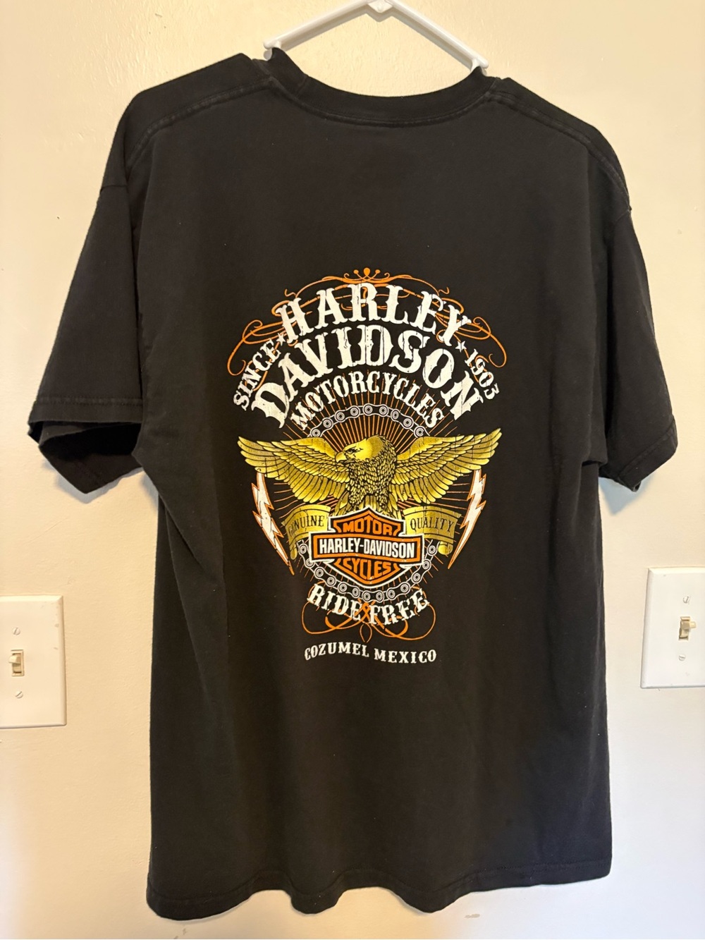Harley-Davidson Black Tee with Gold & White Eagle Graphic